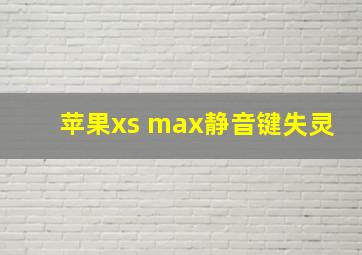 苹果xs max静音键失灵